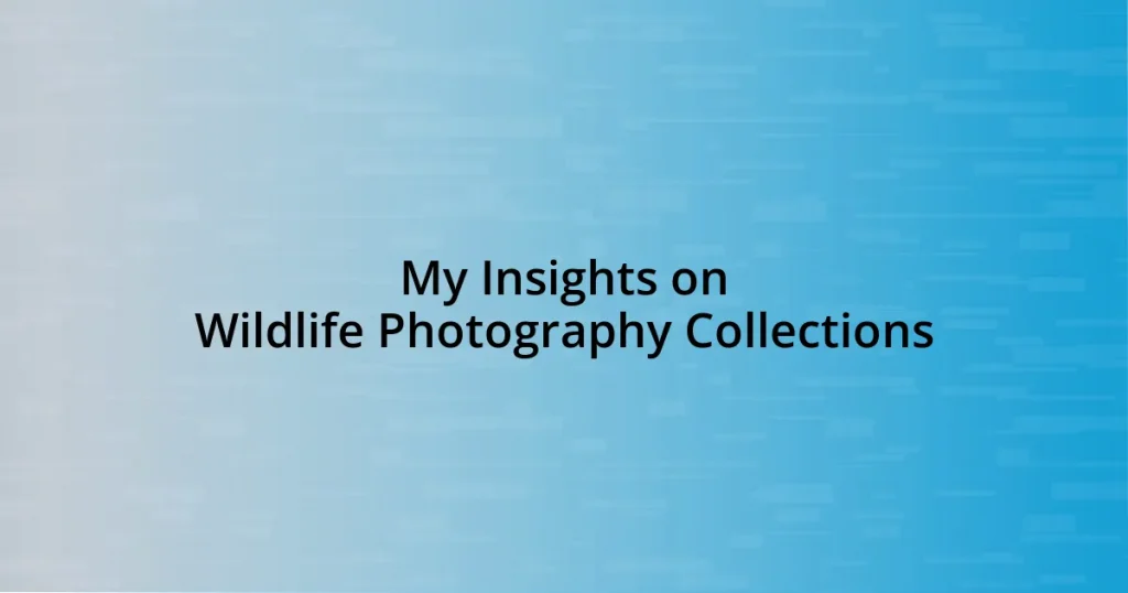 My Insights on Wildlife Photography Collections