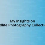 My Insights on Wildlife Photography Collections