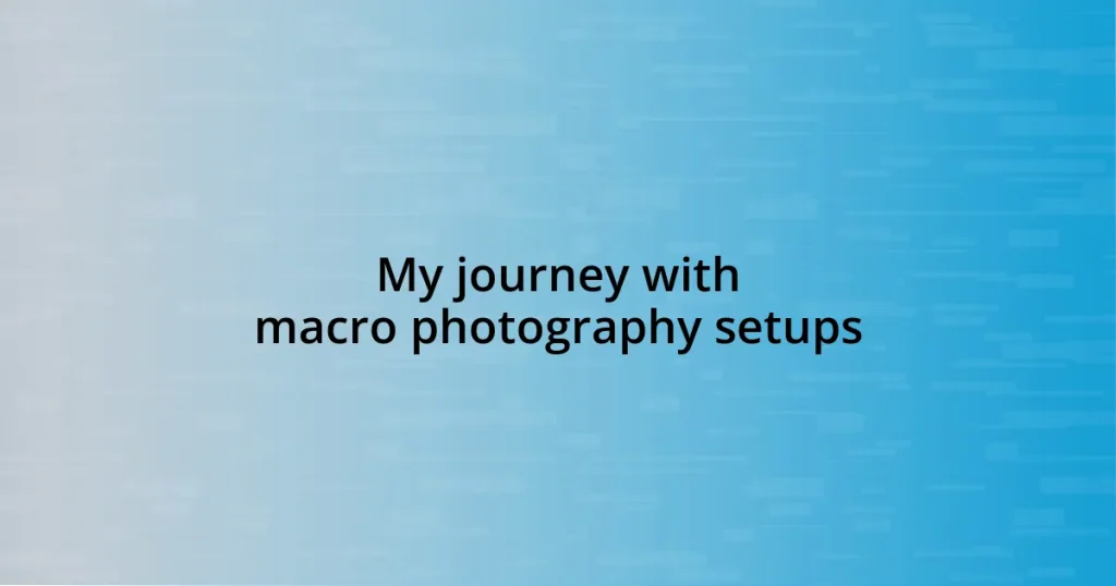 My journey with macro photography setups