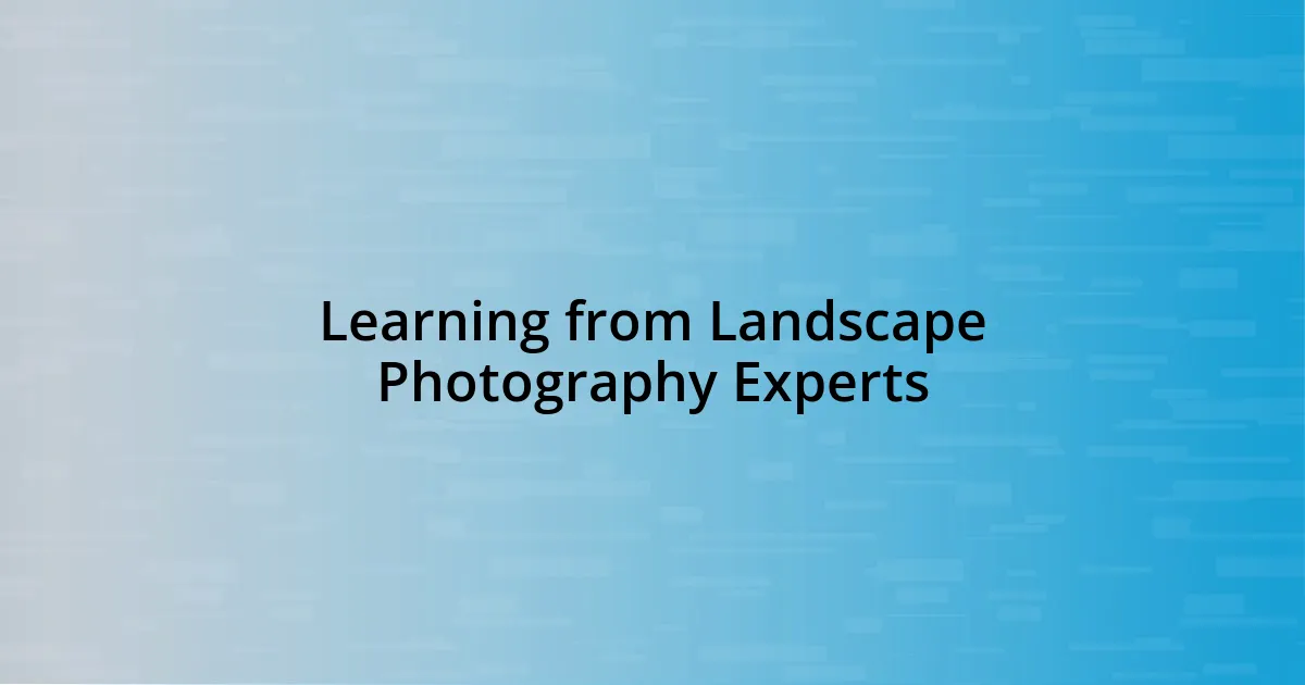 Learning from Landscape Photography Experts