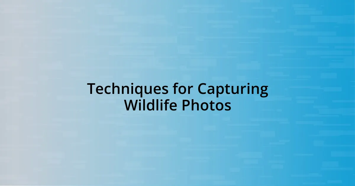 Techniques for Capturing Wildlife Photos