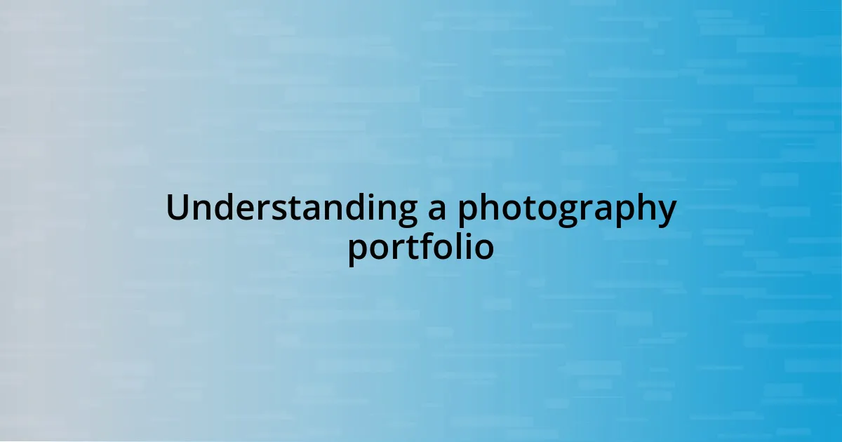 Understanding a photography portfolio